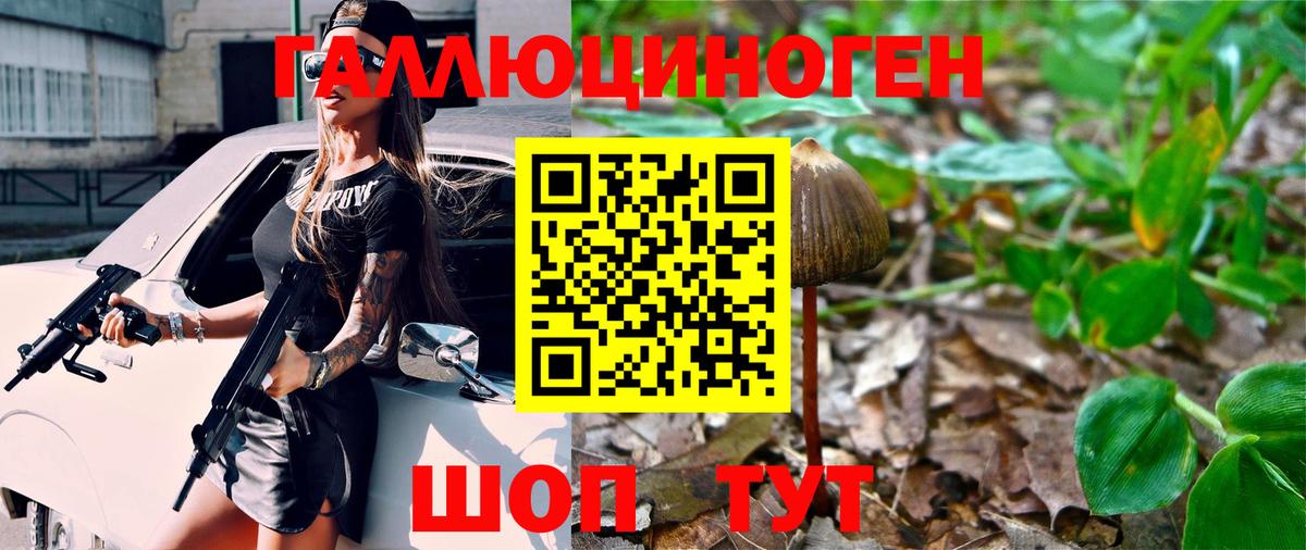 Псилоцибиновые грибы GOLDEN TEACHER  Галлюциногенные грибы Cubensis  Железноводск  Вход с VPN 